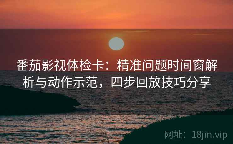 番茄影视体检卡：精准问题时间窗解析与动作示范，四步回放技巧分享