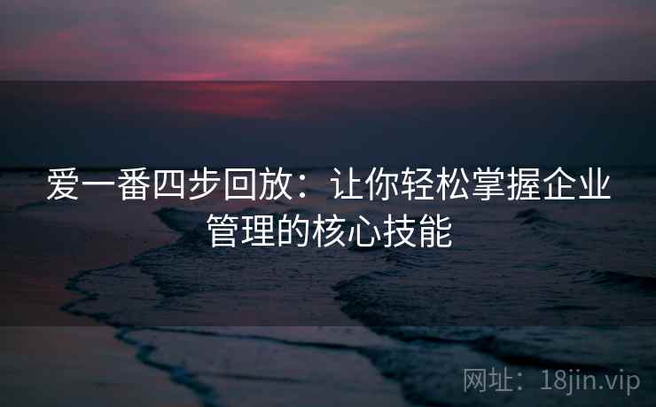 爱一番四步回放：让你轻松掌握企业管理的核心技能