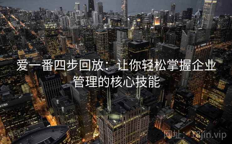爱一番四步回放：让你轻松掌握企业管理的核心技能