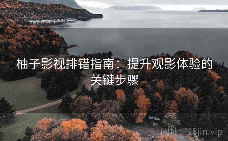 柚子影视排错指南：提升观影体验的关键步骤